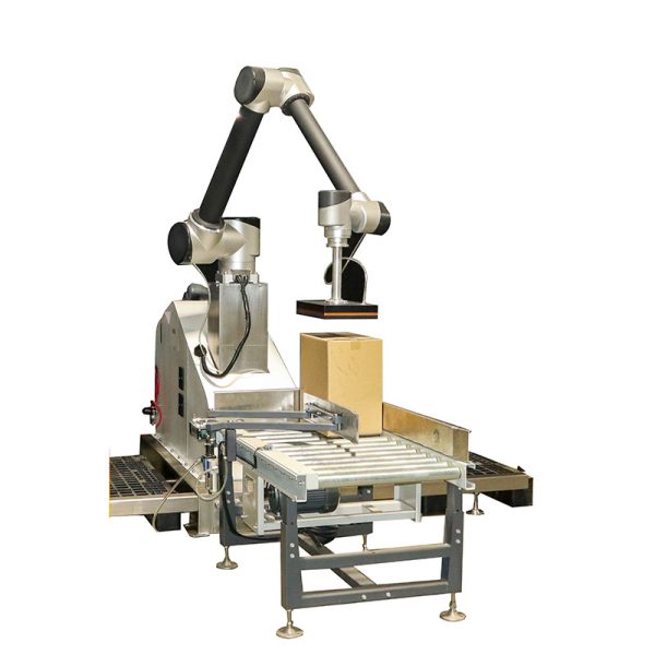 5 or 6 Axis Robot by Easypack Packing Machines Malaysia