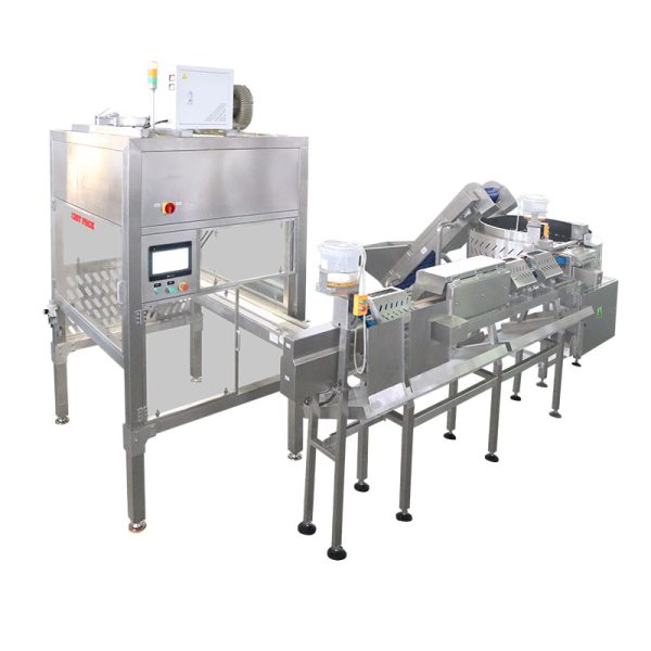 Frozen Food Packing Machine by Easypack Packing Machines Malaysia