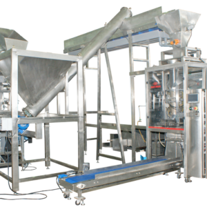 Ice Cube Packing Line by Easypack Packing Machines Malaysia