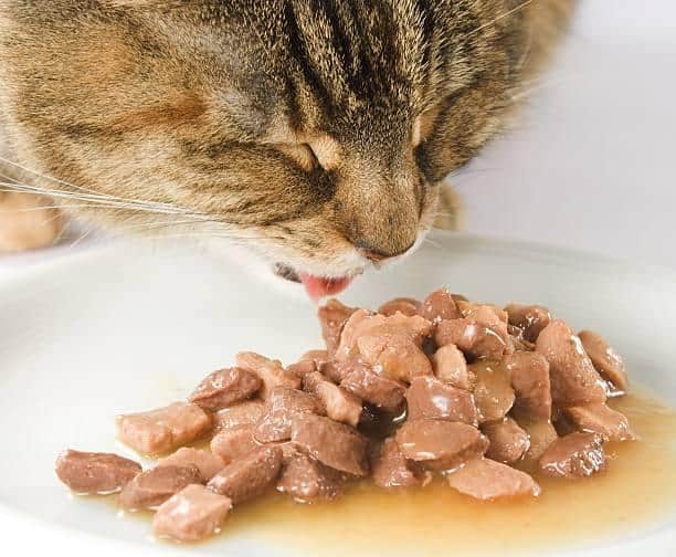 wet food 1 by Easy Pack Packaging Industries Malaysia